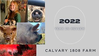 2022 Year in Review