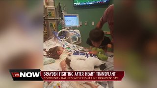 Today is Fight Like Brayden Day