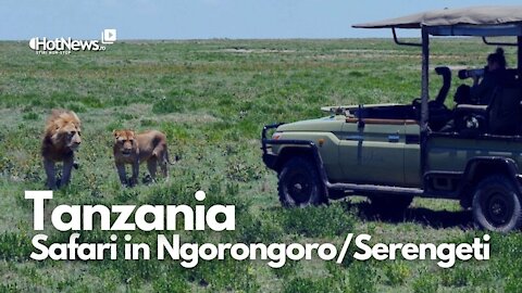 Safari in Ngorongoro & Serengeti, located in Tanzania 2021
