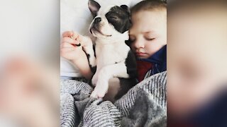 2-Year-Old Boy’s New Puppy Suffers The Same Birth Defect