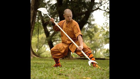 Monk fights off Volunteer Cleaner