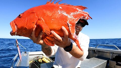 ME vs SHARKS - Catch And Cook - Sharing fish with BIG SHARKS