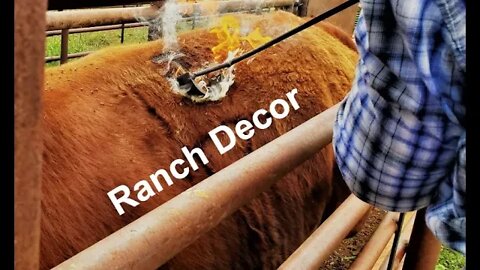 Ranch Décor | Decorating | Western Furniture (In the Chute - Round 102)