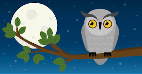 Night Owls - May 20