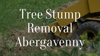 Tree Stump Removal Abergavenny Stump Grinding Services For Residential And Commercial Properties