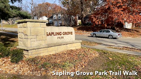 Sapling Grove Park Trail Walk