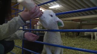 After closing in November, Lake Metroparks Farmpark reopens to public