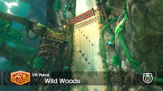 Mario Kart 8 Deluxe - 50cc (Hard CPU) - Wild Woods