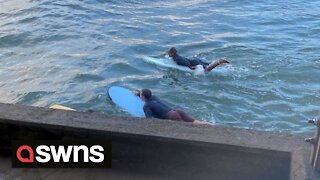 Mark Zuckerberg spotted having a surfing lesson in Hawaii