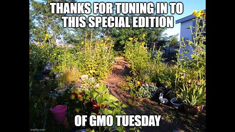 Today on GMO Tuesday...Paper poisonous straws, Chinese Bio-lap in Fresno County & the COVID...