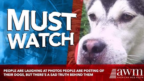 People Are Laughing At Photos People Are Posting Of Their Dogs, But There’s A Sad Truth Behind Them