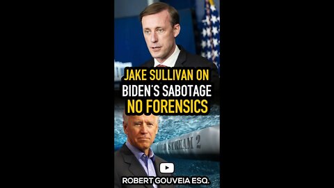 Jake Sullivan on Biden's Sabotage: Deep-Sea Forensics #shorts