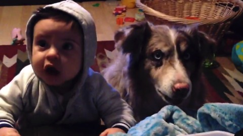 This Dog Can Speak! And You'll Never Guess What He Says...