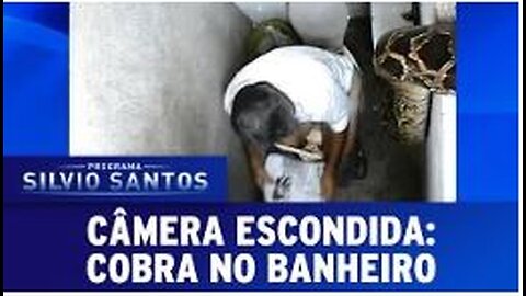 Cobra no Banheiro (Snake in the Rest Room) - Câmera Escondida