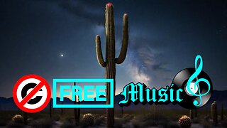 Giant cactus alone at night Vlog No Copyright Music Serene Chill Night