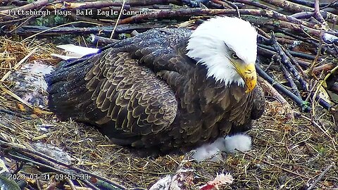 Hays Eagles Mom Hays with Fuzzy Slippers - H19 5days, H20 3days - 03312023 09:58am