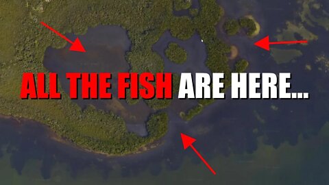 What the PERFECT Fishing Spot looks like - ( Google Maps )