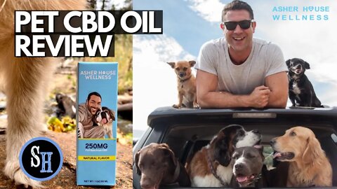 CBD Oil For Dogs Review - Asher House Wellness Pet CBD Oil - Screen Hoopla Sponsor