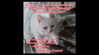 20 Second Short Of Best Meditation Music | Piano Music | Relaxing Music | Piano Cat Part 1 #shorts