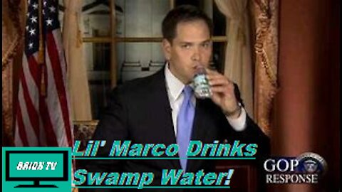 Lik Marco Loves the swamp