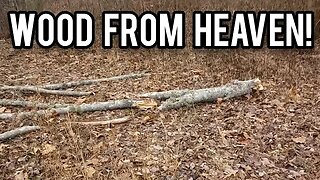 Wood From Heaven - Ann's Tiny Life and Homestead