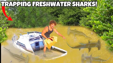 I Caught FRESHWATER SHARKS From ABANDONED POND!