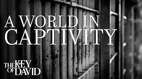 A World in Captivity