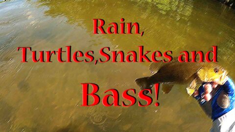 Rain, Turtles, Snakes and Bass!