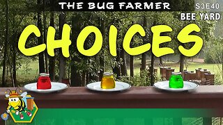 The Taste Test : Sugar syrup, honey, or dextrose, what will the bees prefer. #beekeeping