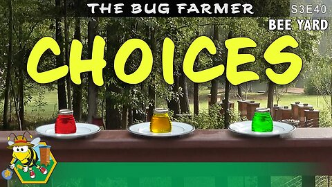 The Taste Test : Sugar syrup, honey, or dextrose, what will the bees prefer. #beekeeping