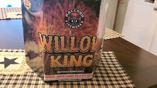 Willow King 500G (Raccoon Fireworks)