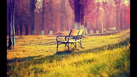 Tribe of Judah Bench pre-encounter Dialog