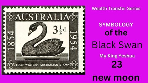 Wealth Transfer - Black Swan I Red Sea Moment