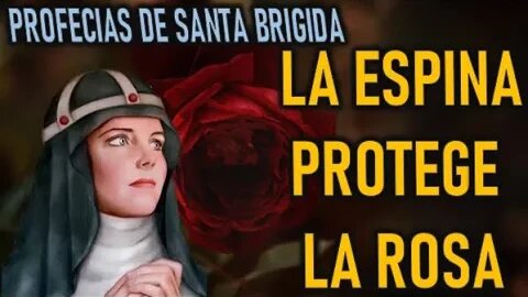 LA ESPINA ES LA PROTECCIÓN DE LA ROSA - SANTA BRIGIDA CAPITULO 16