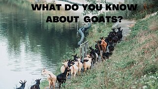 A Short Note on Goats