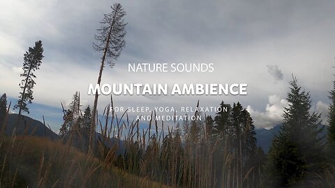 Mountain Ambience | Feel the ambience | 3D Relaxing Nature Sounds