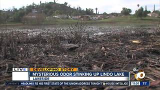 Mysterious odor stinking up Lindo Lake