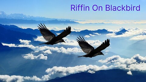 Riffin on Blackbird