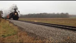 Deer defies death by train by mere seconds