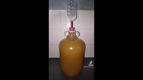 Making homemade Cider