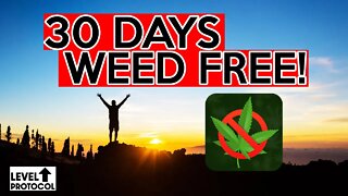 30 Days WEED FREE (Update + How I'm Feeling)