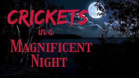 Crickets in a Magnificent Night | Crickets at Night | Ambient Sound | What Else Is There?