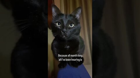 Cat sings Miley Cyrus flowers