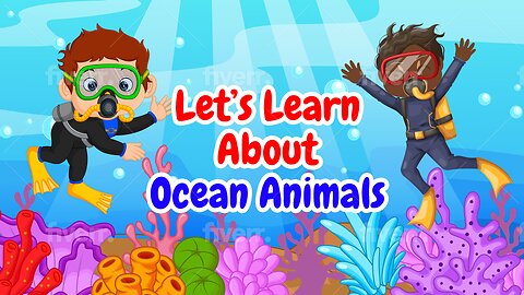 Let's Learn About Ocean Animals Educational Video