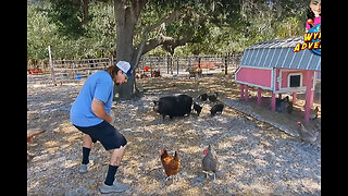 Petting Farm at RV Park