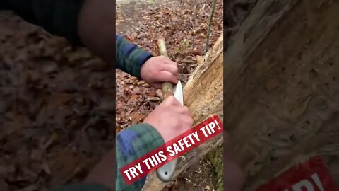 Bushcraft Tools and Safety! (Knife: SHEMANESE) #shorts #tools #safety #gear