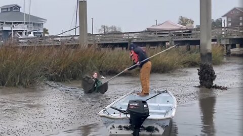 Animal Control rescues blue heron from pluff mud