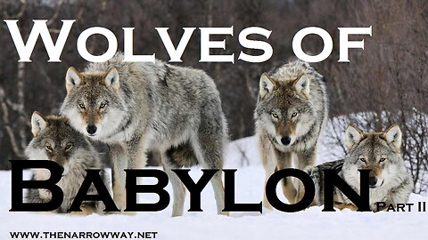 Wolves Of Babylon Part II