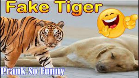 fake tiger prank dog try to stop laugh 2022