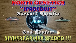 Summer Stock episode 11 ! #NorthGenetics - #Spacedust 👽 #SpiderFarmer #sf2000 Results and Review✂💨🔨